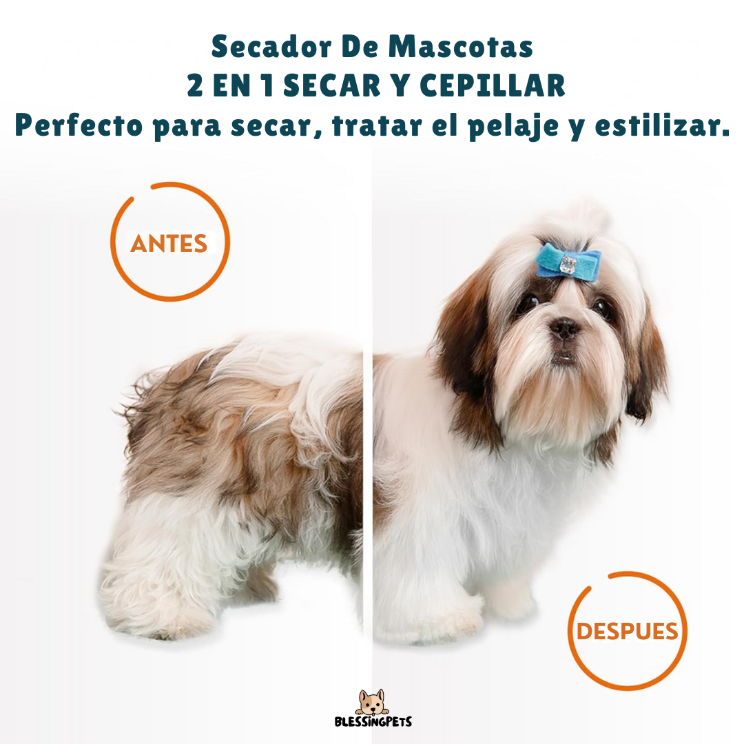 BlessingPets Pro El Secador para Mascotas 2 en 1 que Revoluciona el Cuidado de tu Peludo