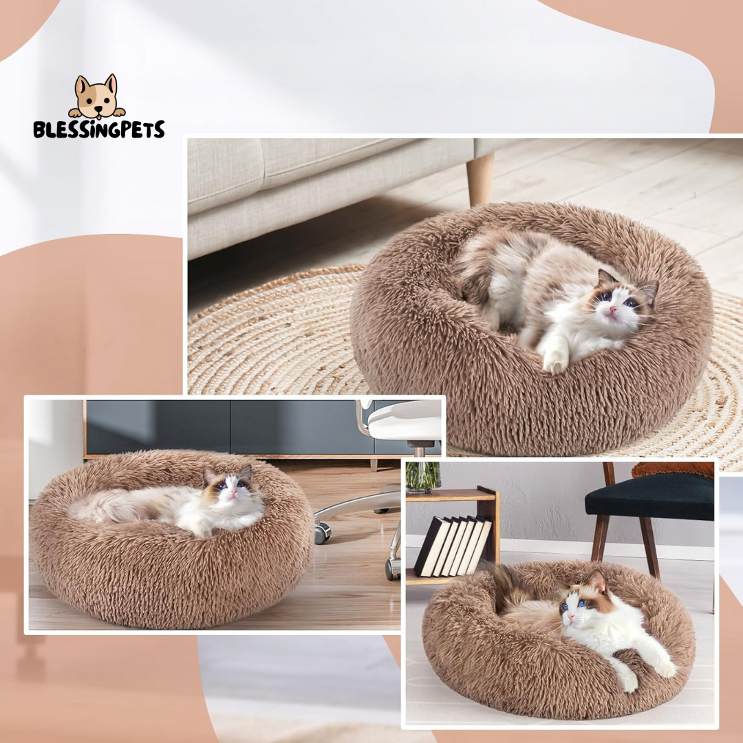 Cama Grande para Perros y Gatos: Comodidad Gigante para un Descanso Perfecto 🐶🐱